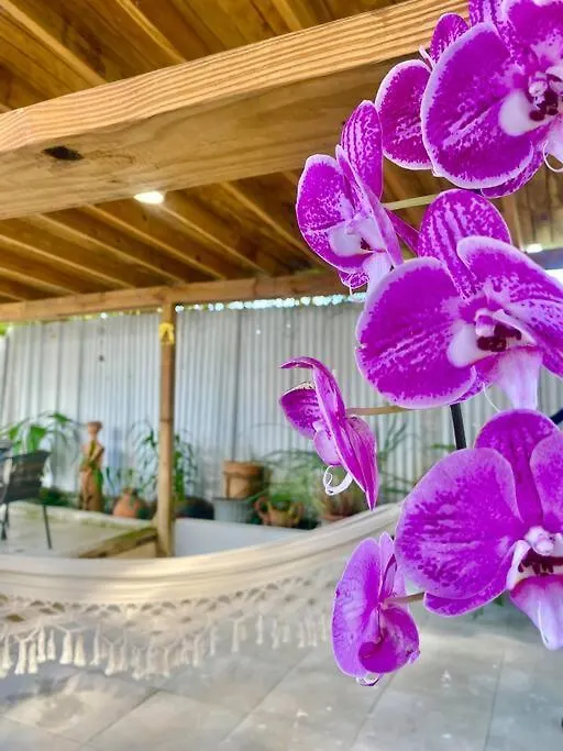 5 Min From Airport Sju Secret Garden Rental Pr San Juan Vakantiehuis